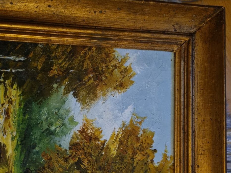 Pintura a óleo 80x60 F Viana