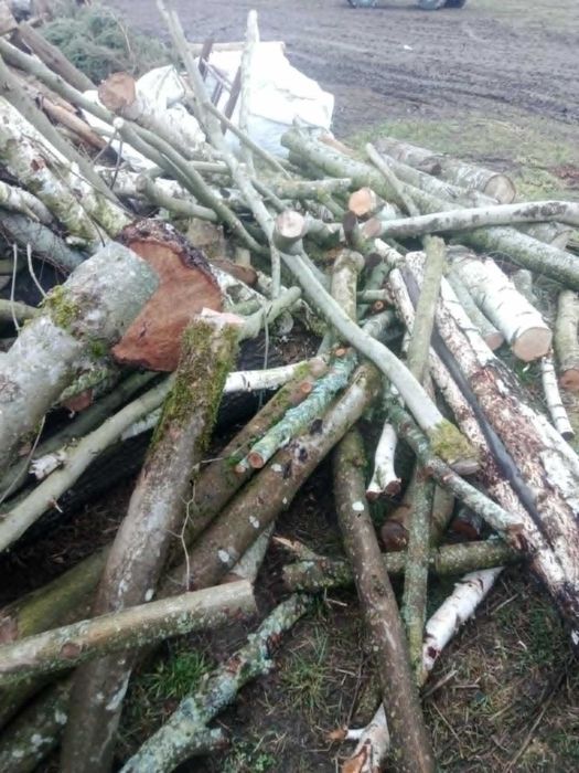 Sprzedam drewno opałowe