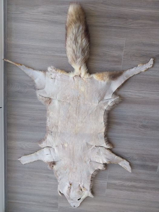 Tapete - Pele de raposa