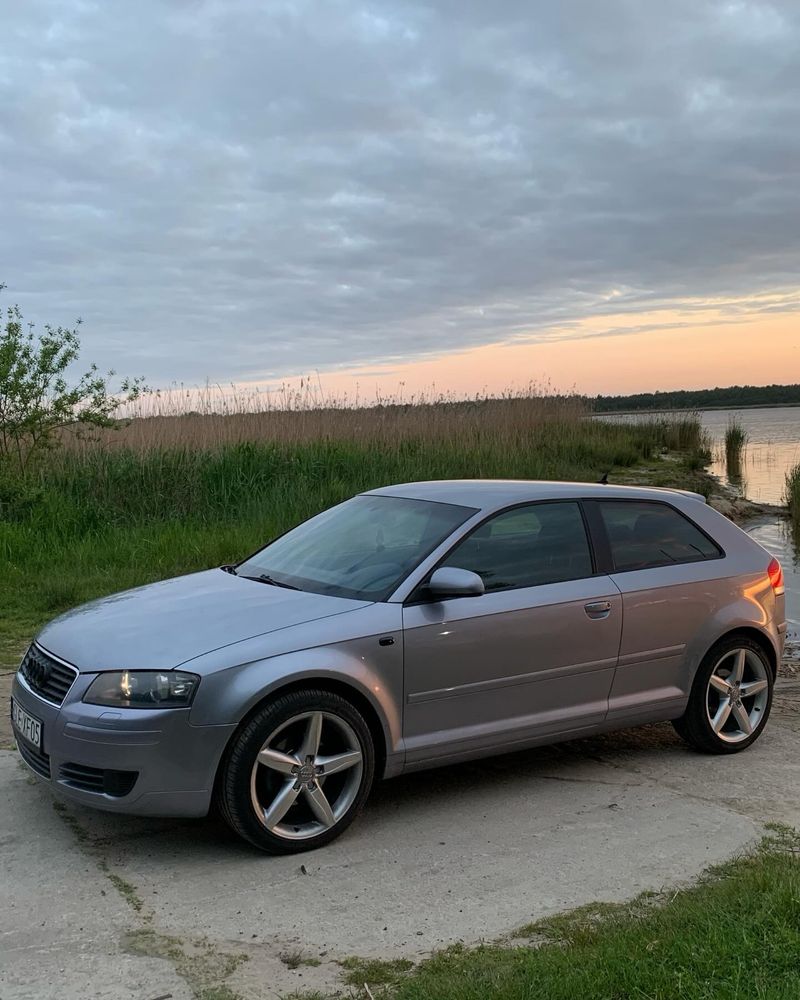 Audi a3 8p 2.0TDI