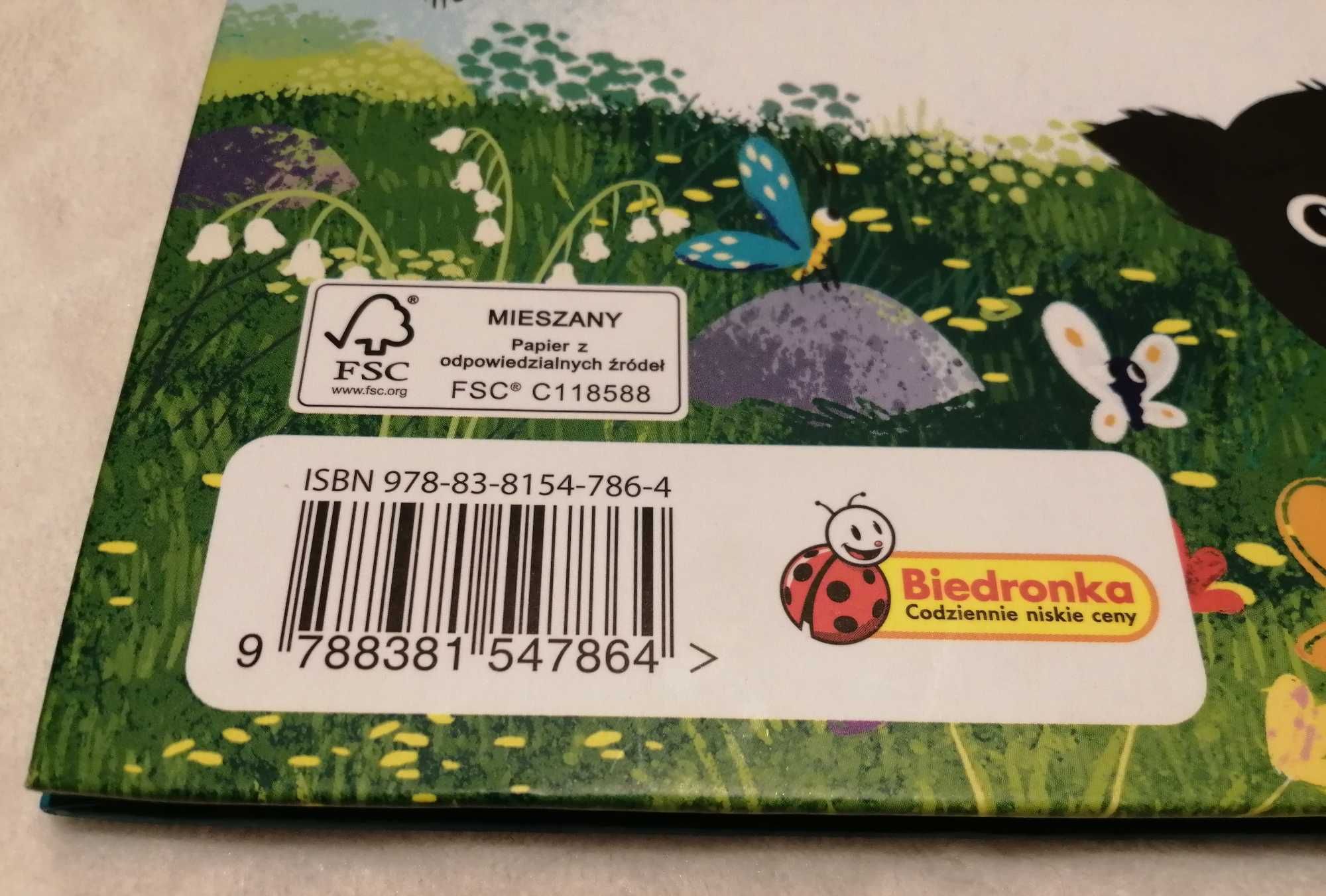 Gang Fajniaków i miasto marzeń, Marcin Przewoźniak (Książeczki dla dzi