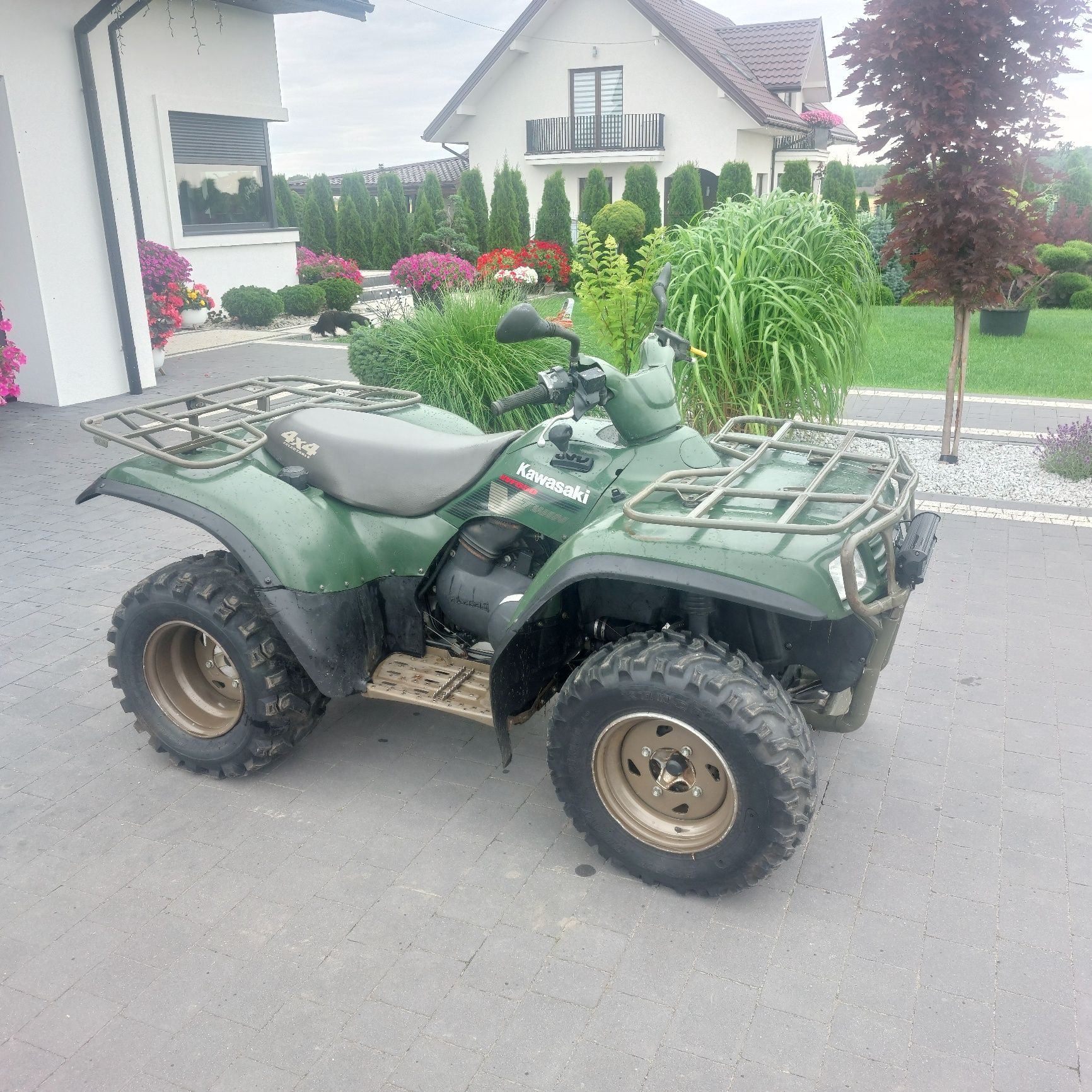 Kawasaki kvf650.