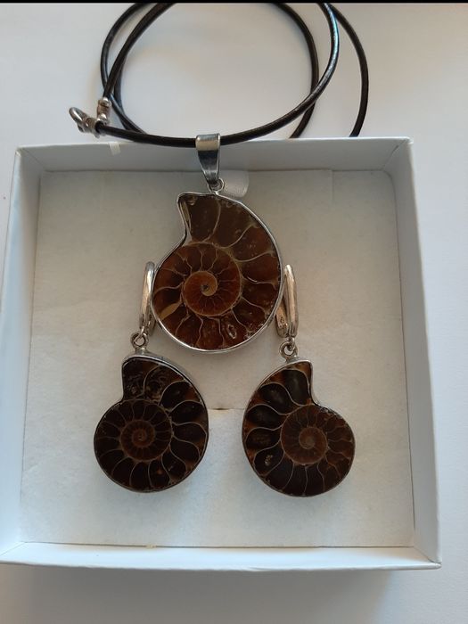 Аммонит украшения