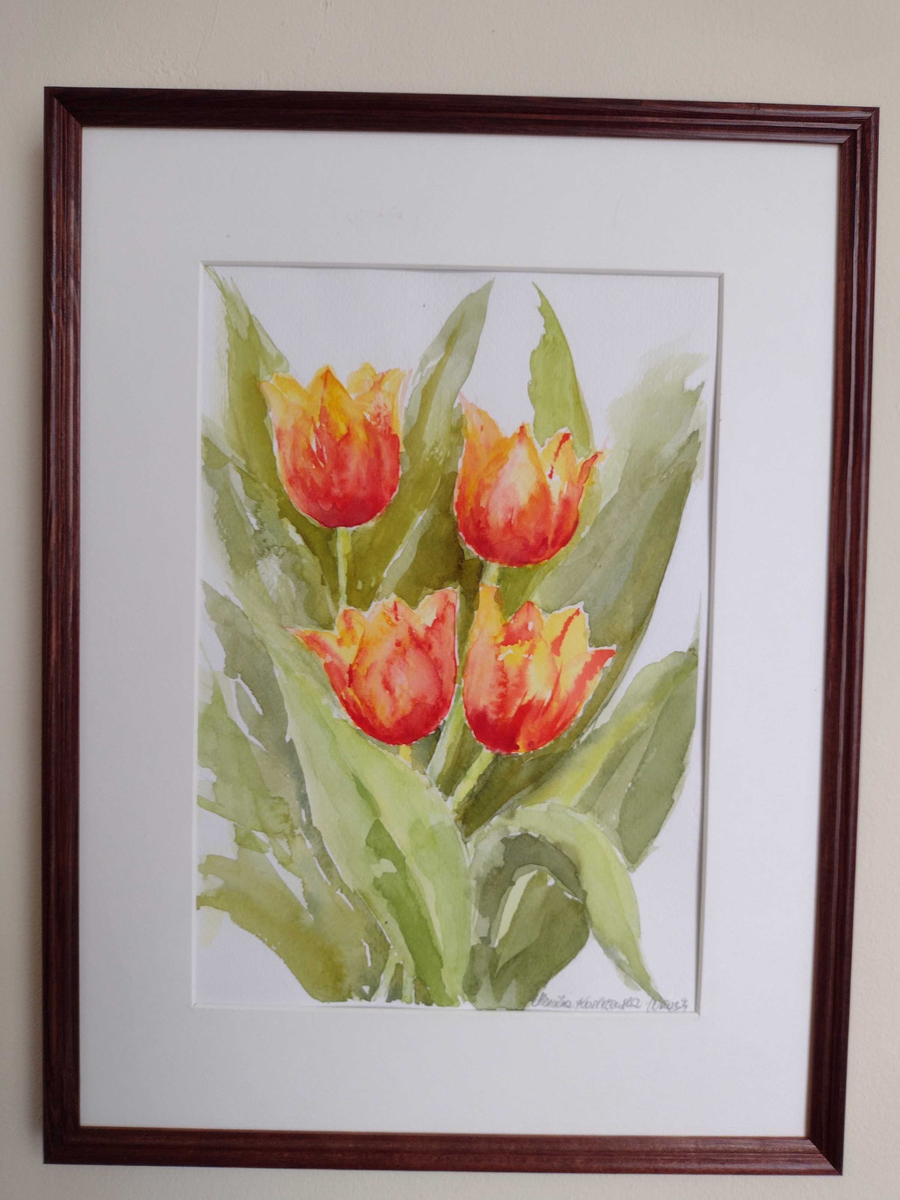 Akwarela, "Tulipany" format 30/40cm, cena z oprawą Dzień Matki prezent