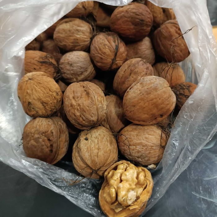 Ekologiczne Orzechy włoskie 2025 - 5 kg