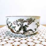 Misa Villeroy & Boch Botanica