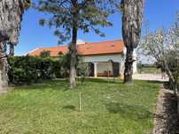 Apartamento T1, quinta tranquila