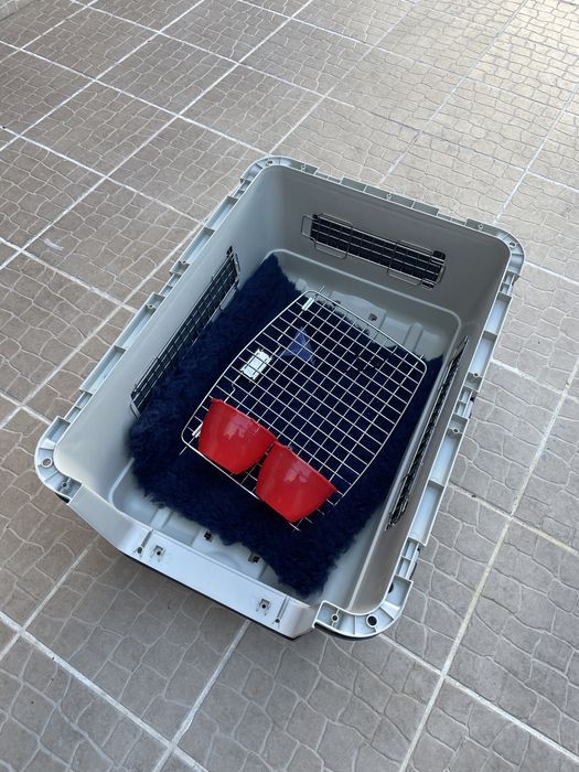 Caixa de transporte de caēs de grande porte