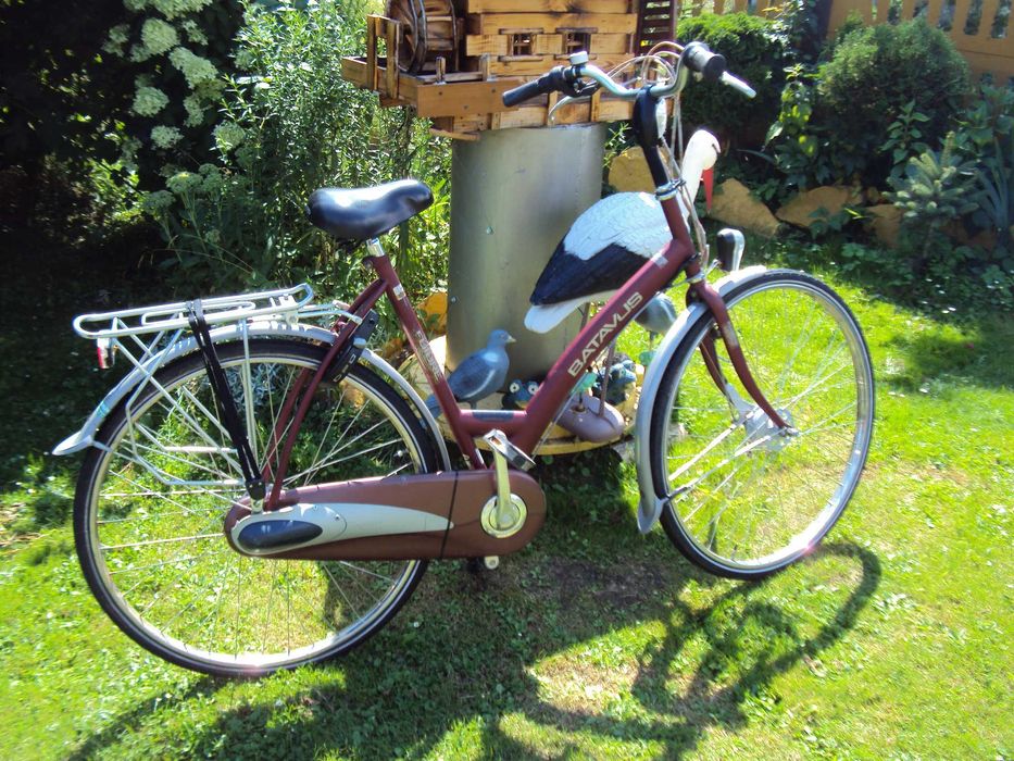 Rower holenderski Batavus