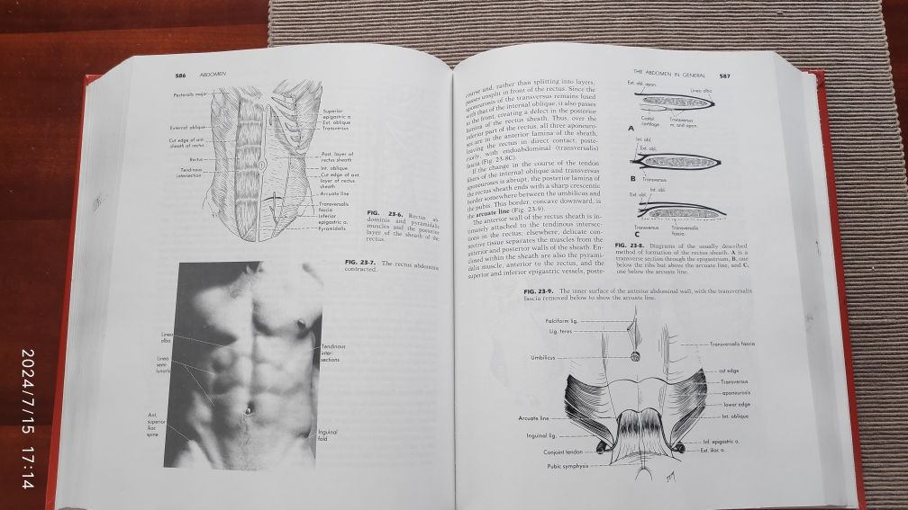 Anatomia człowieka Textbook of Anatomy. Po angielsku