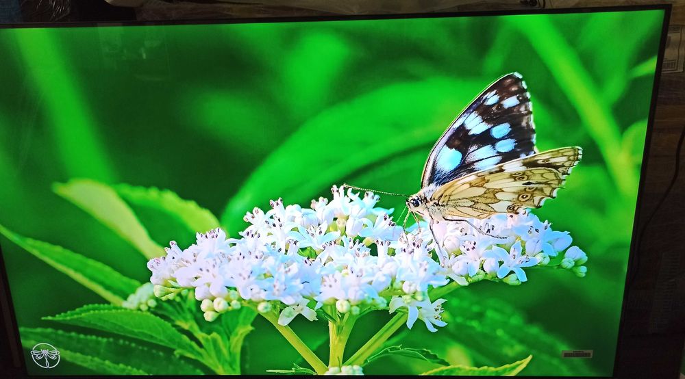 Телевізор смарт realme Smart TV 4K 126cm (50” дюймів) RMV2005