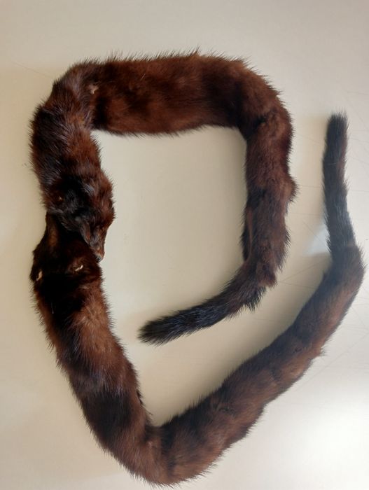 Estola com 2 cabeças de raposa