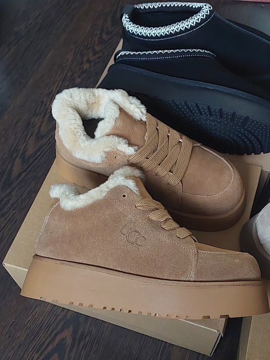 Розпродаж UGG Tazz Platform жіночі уггі