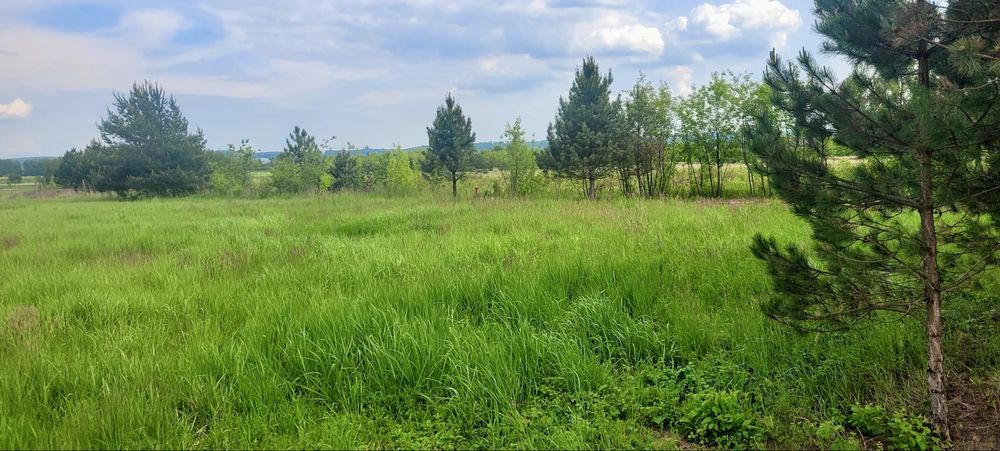 Działka z WZ - 10a Kędzierz tylko 6 km od Rynku w Dębicy