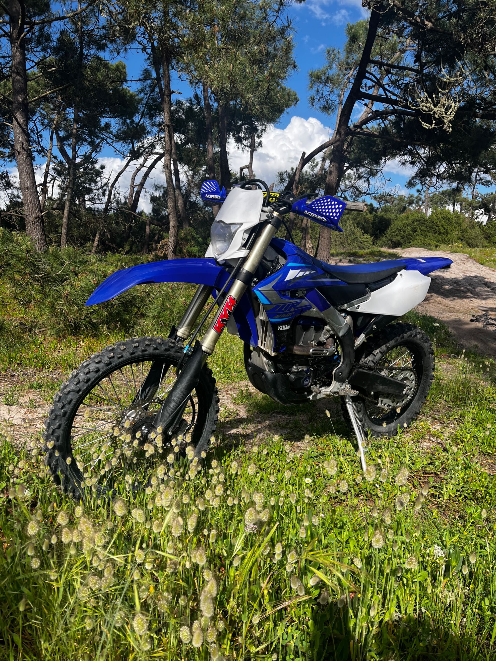 Wr 250f de 2020.