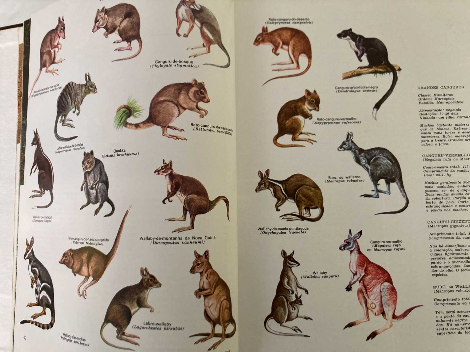 Enciclopédia A Fauna da Salvat - 11 Volumes