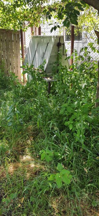 (3) Продам земельну ділянку в с. Сальник 0925