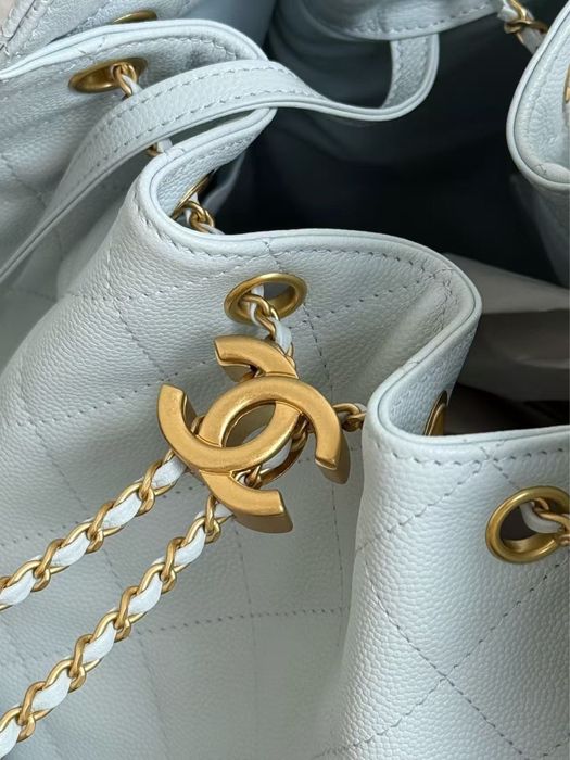 Chanel Small hobo 25bag