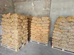 Ziemniaki wielkości sadzeniaka, grube różne odmiany