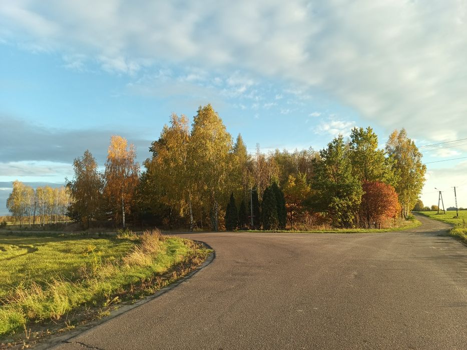 wynajmę dom z podwórkiem LAS ustronne miejsce siedlisko