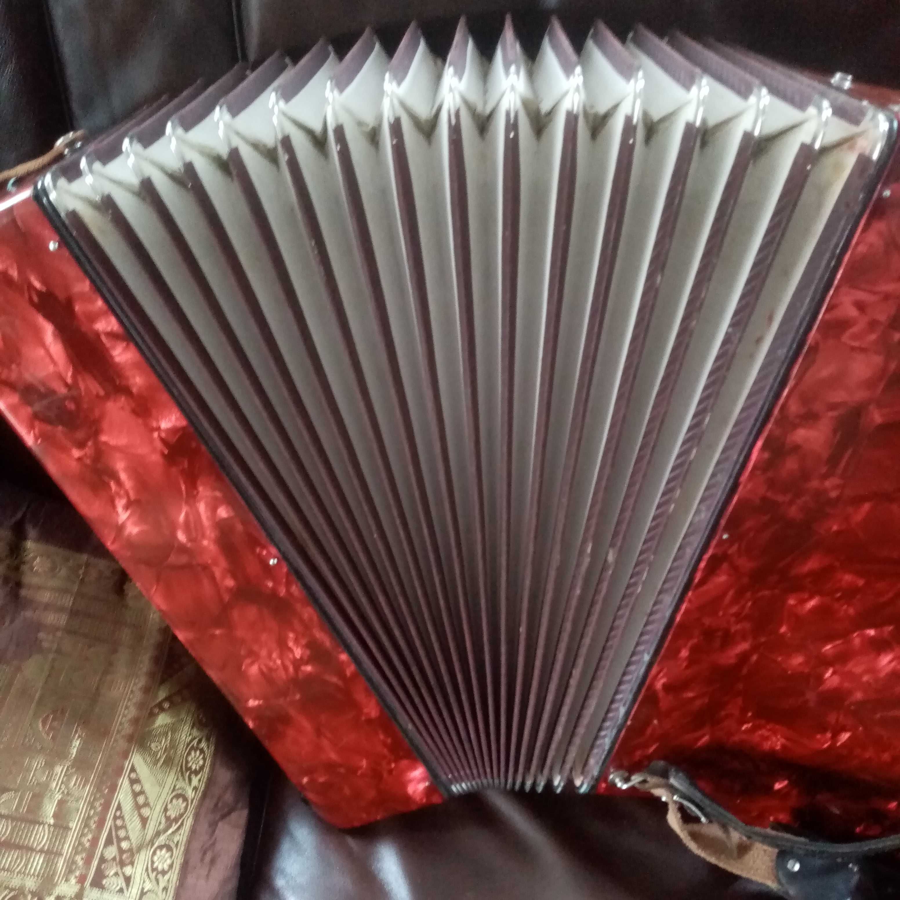 akordeon 120 basów royalstandard Meteor