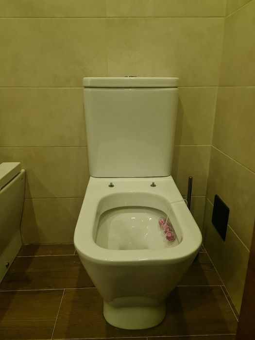 2 sanitas roca com e sem tampo