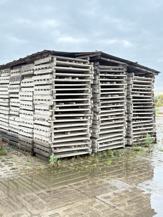 Palety świerkowe na opał