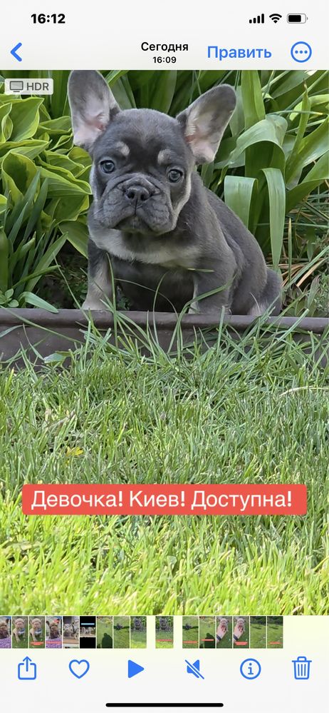 Девочка голубой тан с документами