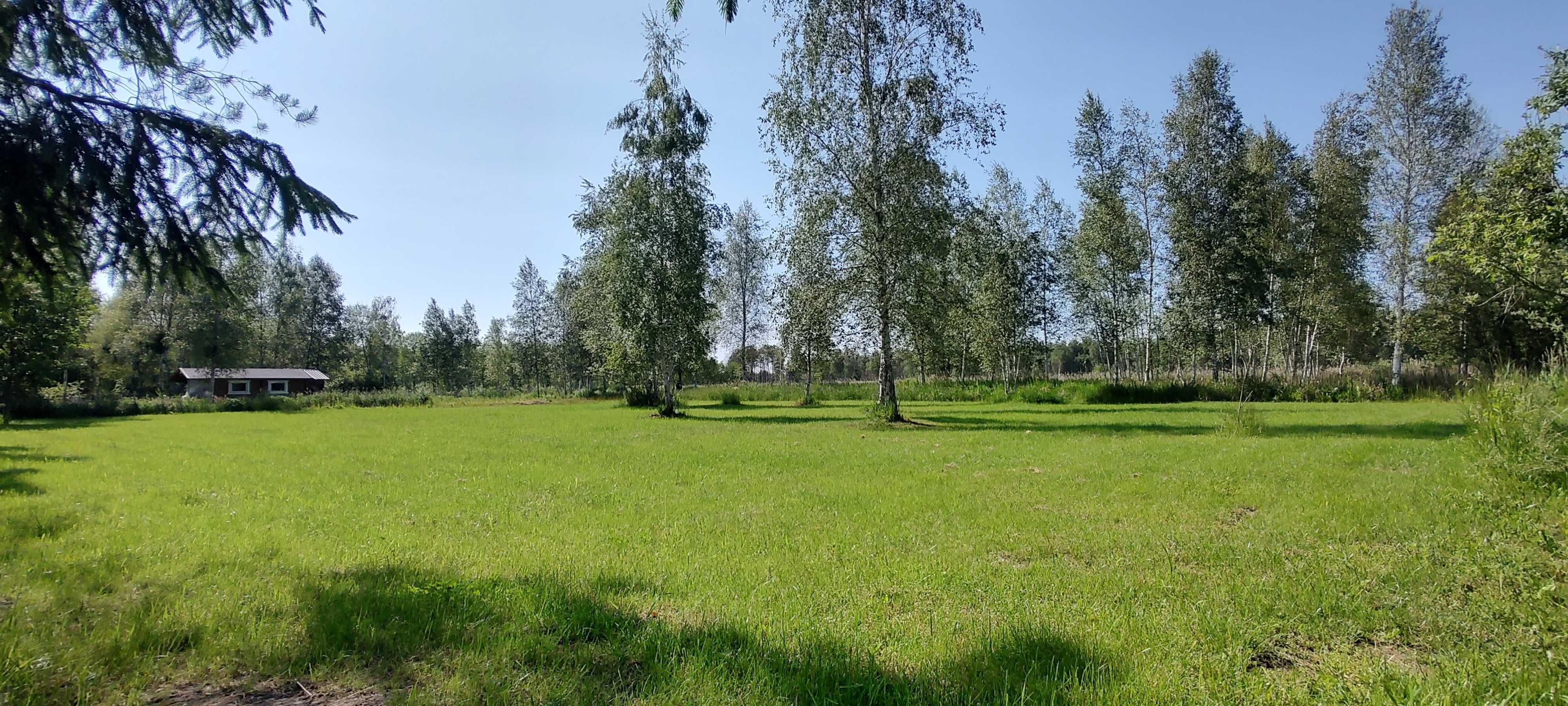 Działka z dostępem do jeziora ROŚ - MAZURY Szczechy Małe