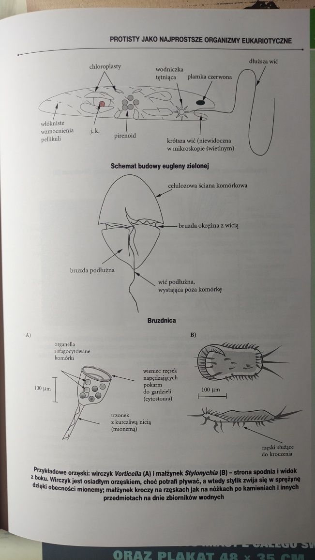 Matura biologia vademecum GREG