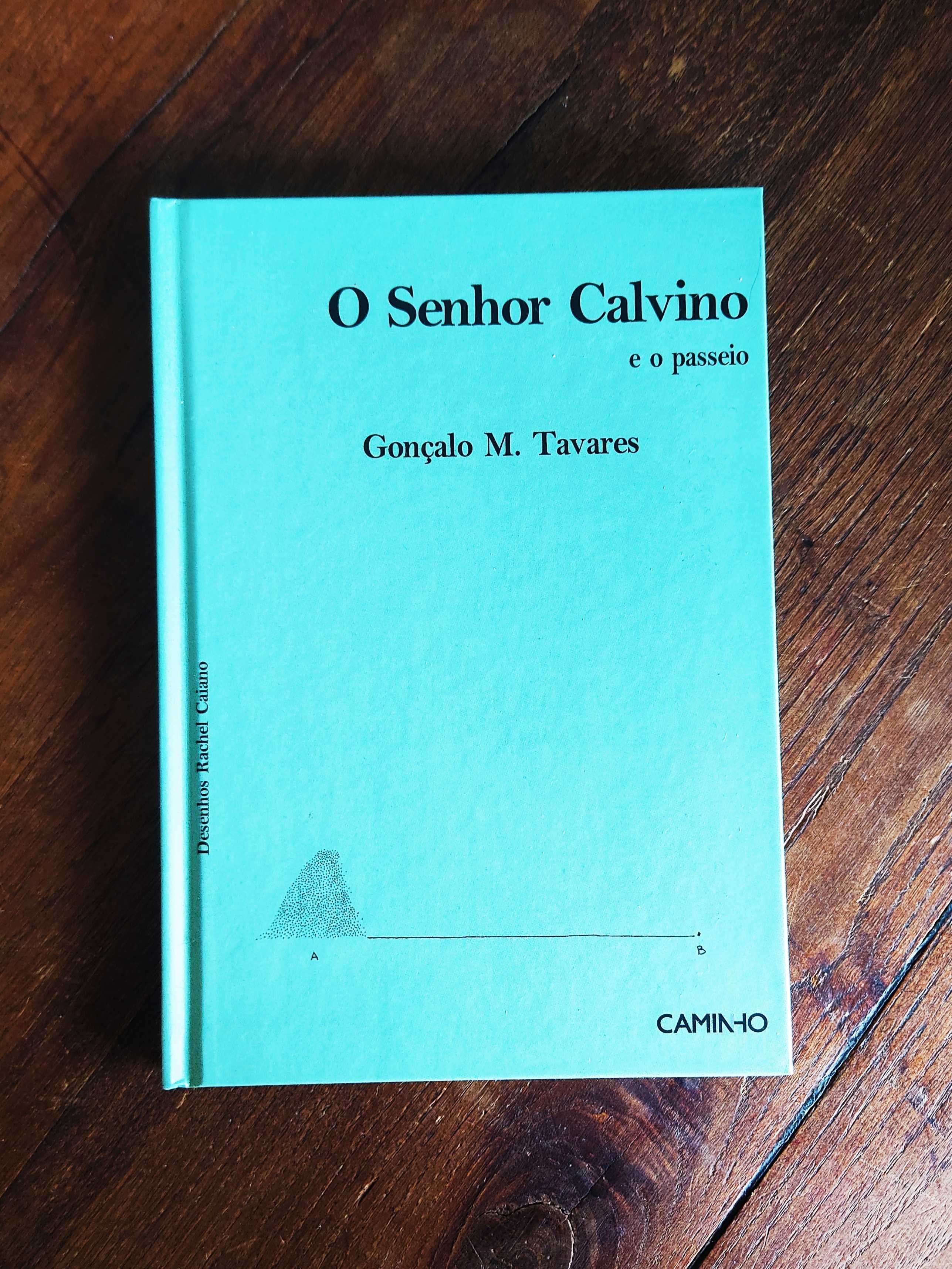Senhor Kraus/ Senhor Juarroz/ Senhor Calvino - Gonçalo M. Tavares
