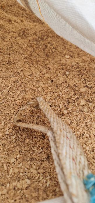 Trociny suche dąb, jesion