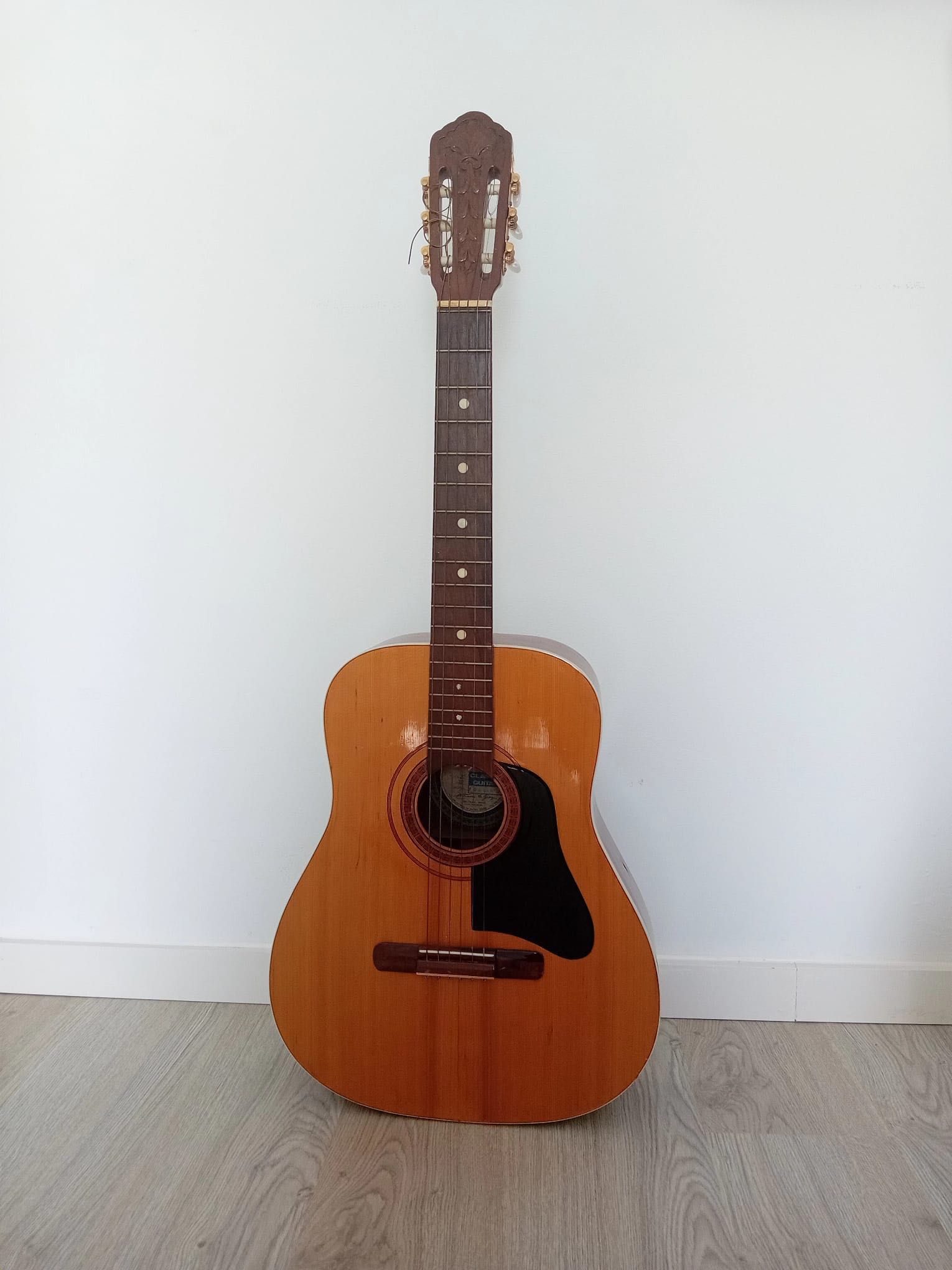 Guitarra Acústica DiGiorgio (1974) - Peça de colecionador