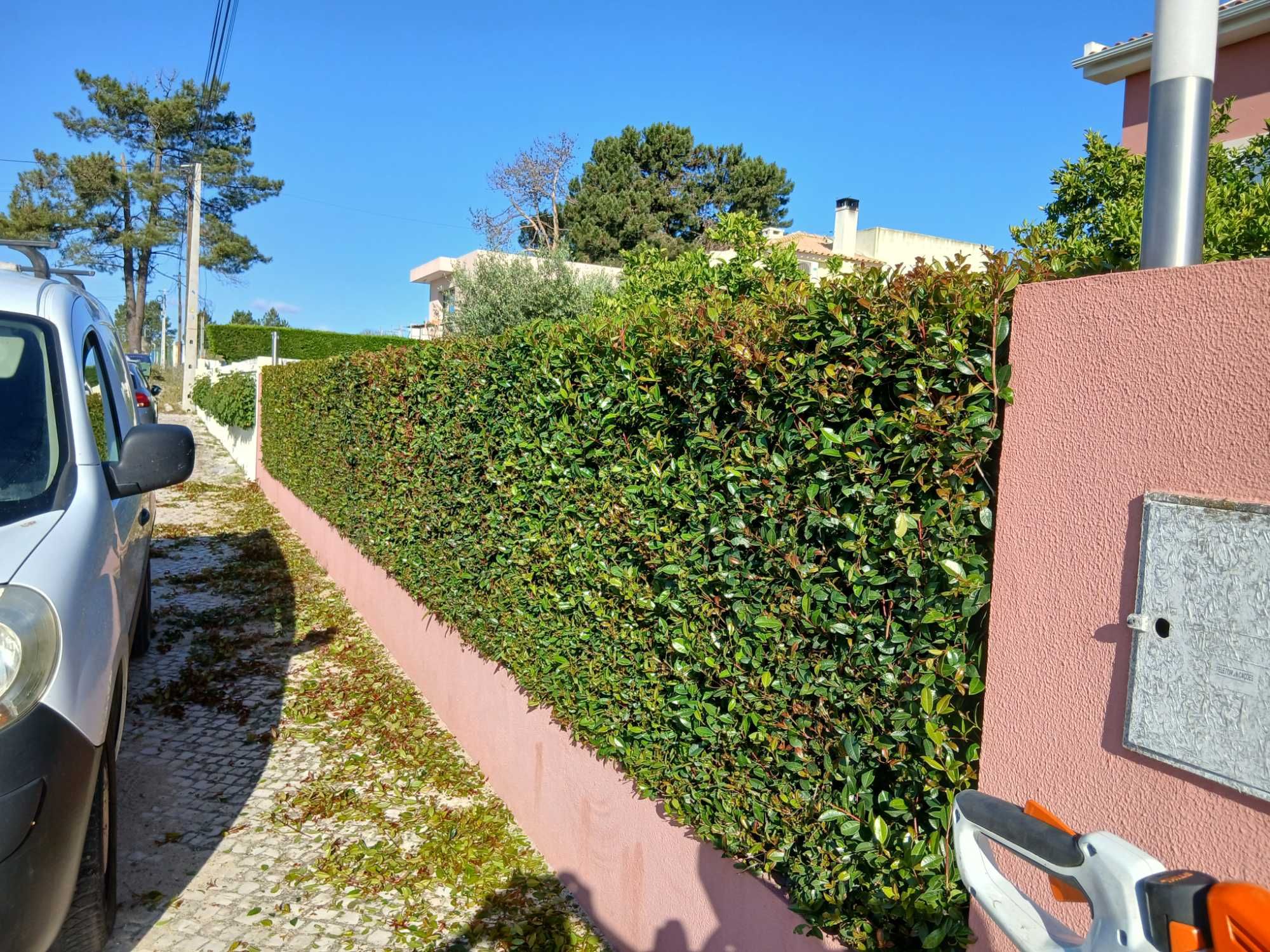 Serviços de jardinagem