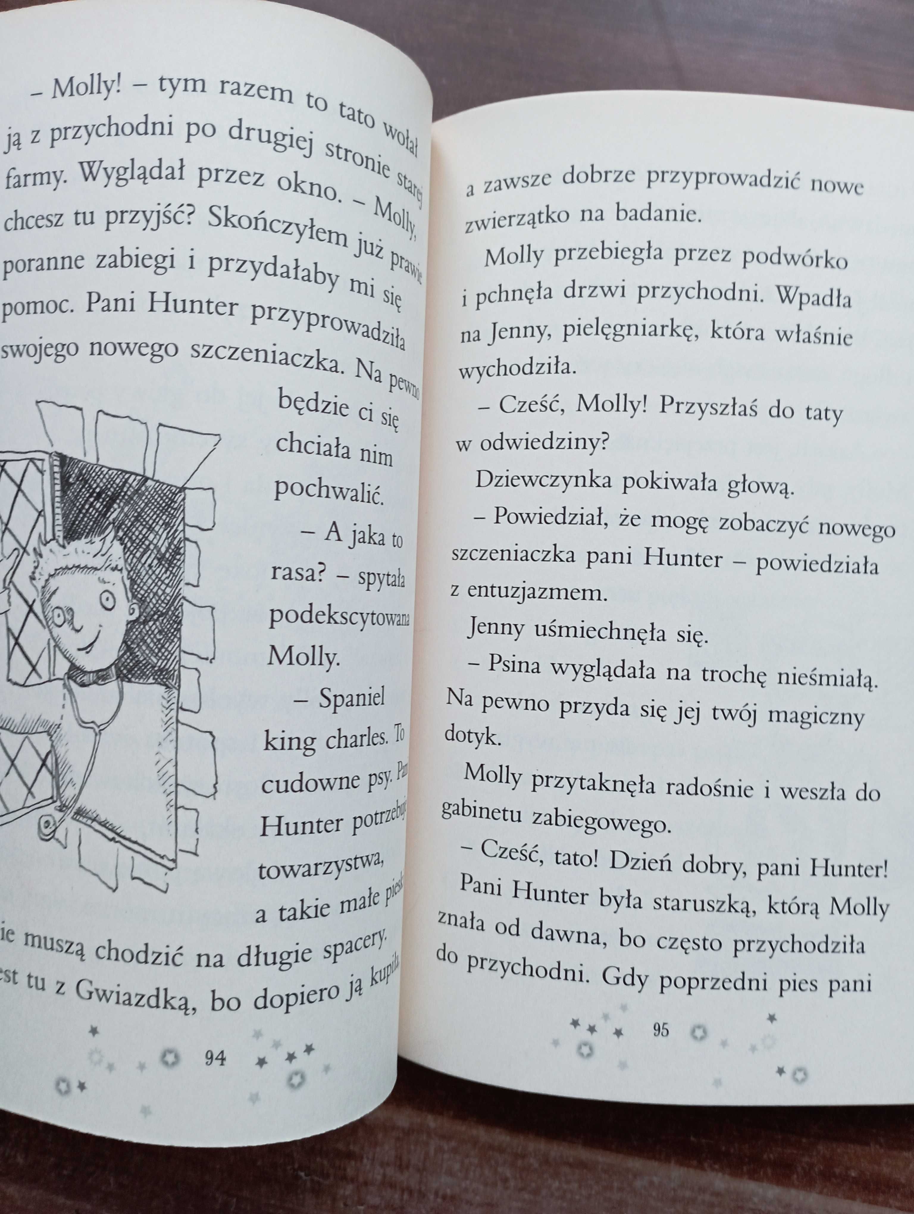 Magic Molly Zagubione zwierzątka Holly Webb