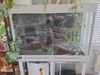 Terrarium dla legwana, agamy, kameleona.