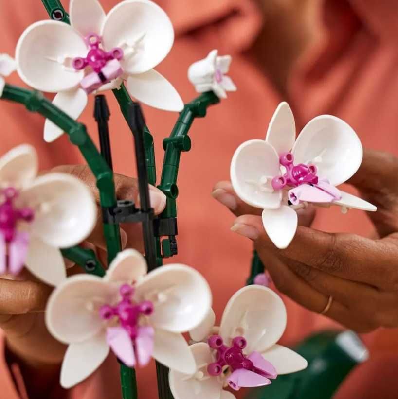LEGO® Botanicals 10311 Orchidea
