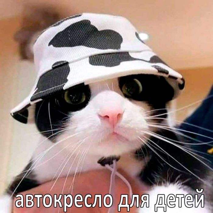 детское автокресло BeSafe IZI Comfort