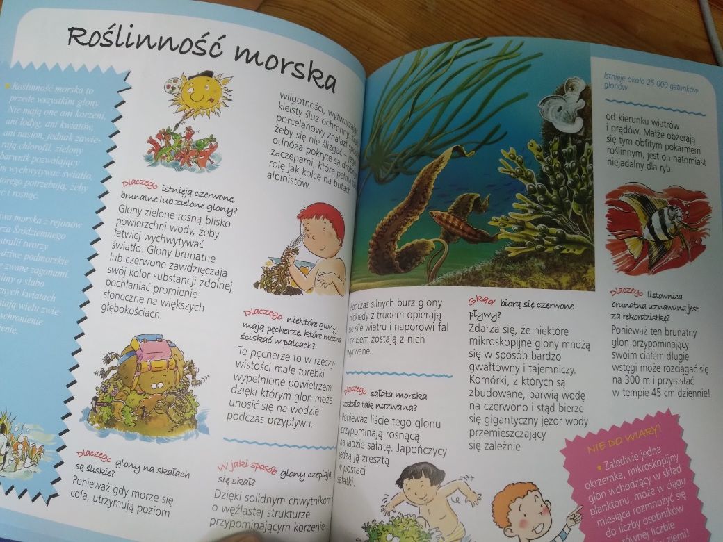 Obrazkowa encyklopedia dla dzieci, Morze