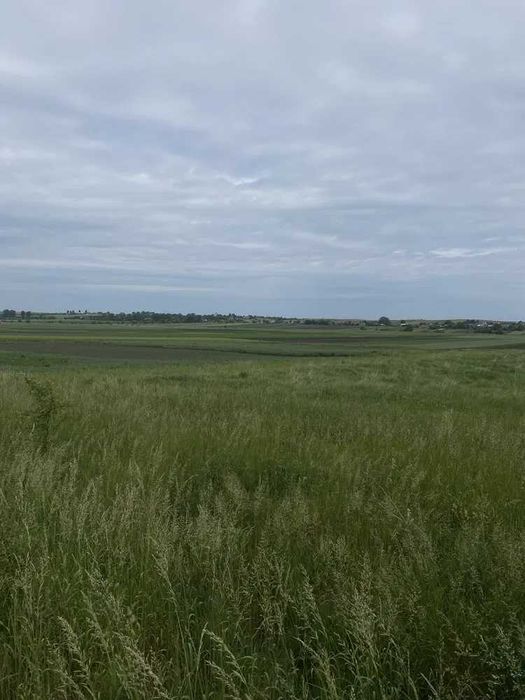 Продаж земельна ділянка село Куликів 10 га