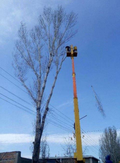 Спил деревьев, уборка участка, вывоз мусора, строительные работы!