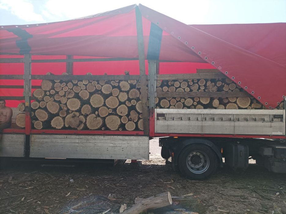 Продам дрова твердої породи (рубані, метрові)