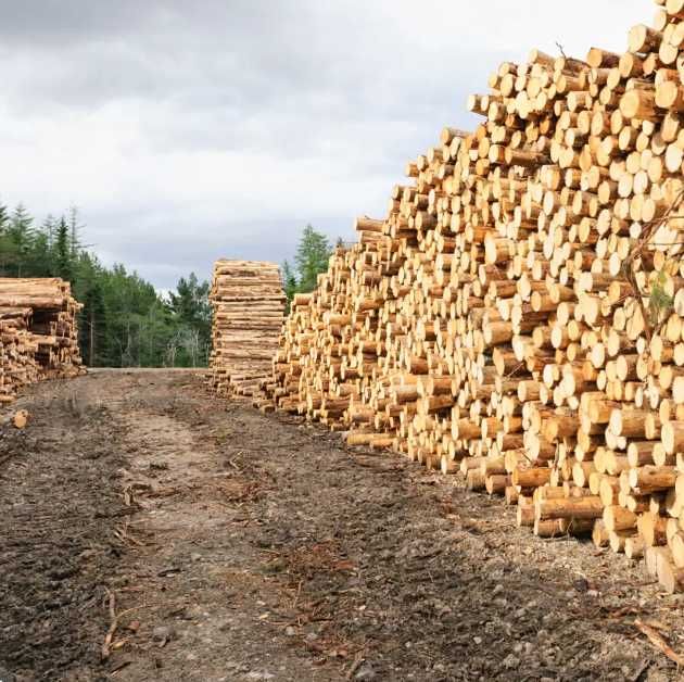 Продам дрова: дуб, ясень, сосна. Доставка без предоплаты