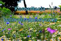 Konsultacja naturoterapeuty, medycyna naturalna, online, DARMOWA