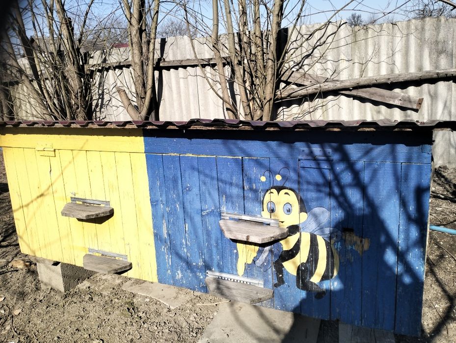 Обмін на зерно пропонуйте є ще інші під відновлення