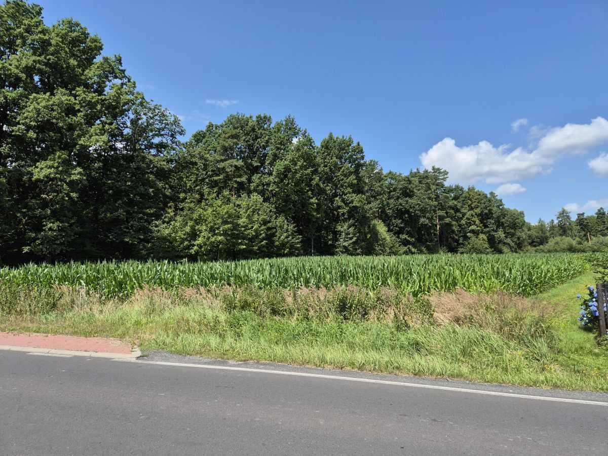 Działka rolno-budowlana 48 arów