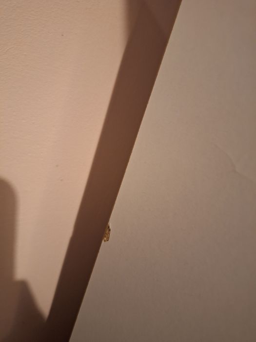 Regał dziecięcy domek