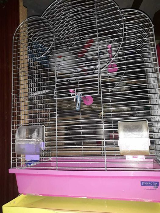 Клітка для дрібних декоративних птахів «Арка