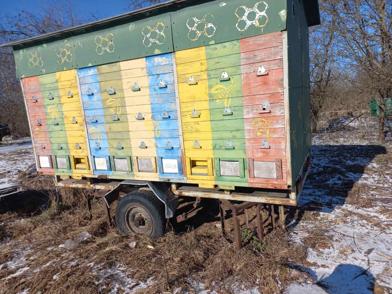 Продам бжолоповільйон сестеми дадан житомир