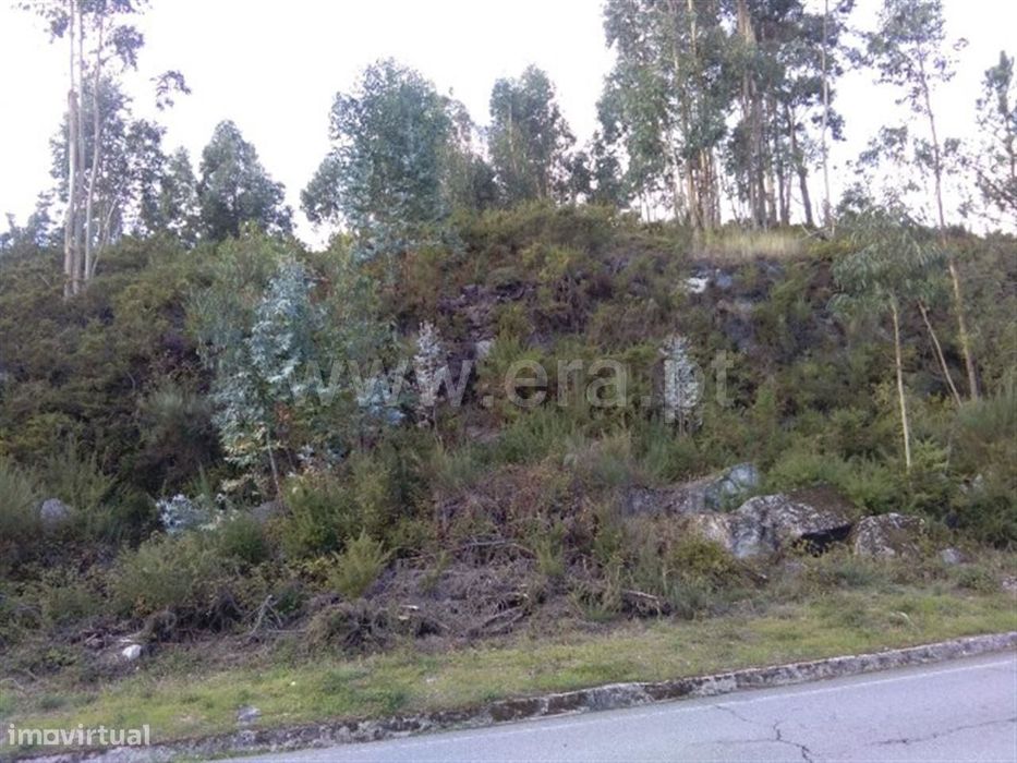 Terreno rústico com 5.000 m2 em Estorãos